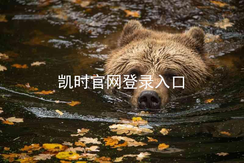 凯时官网登录入口