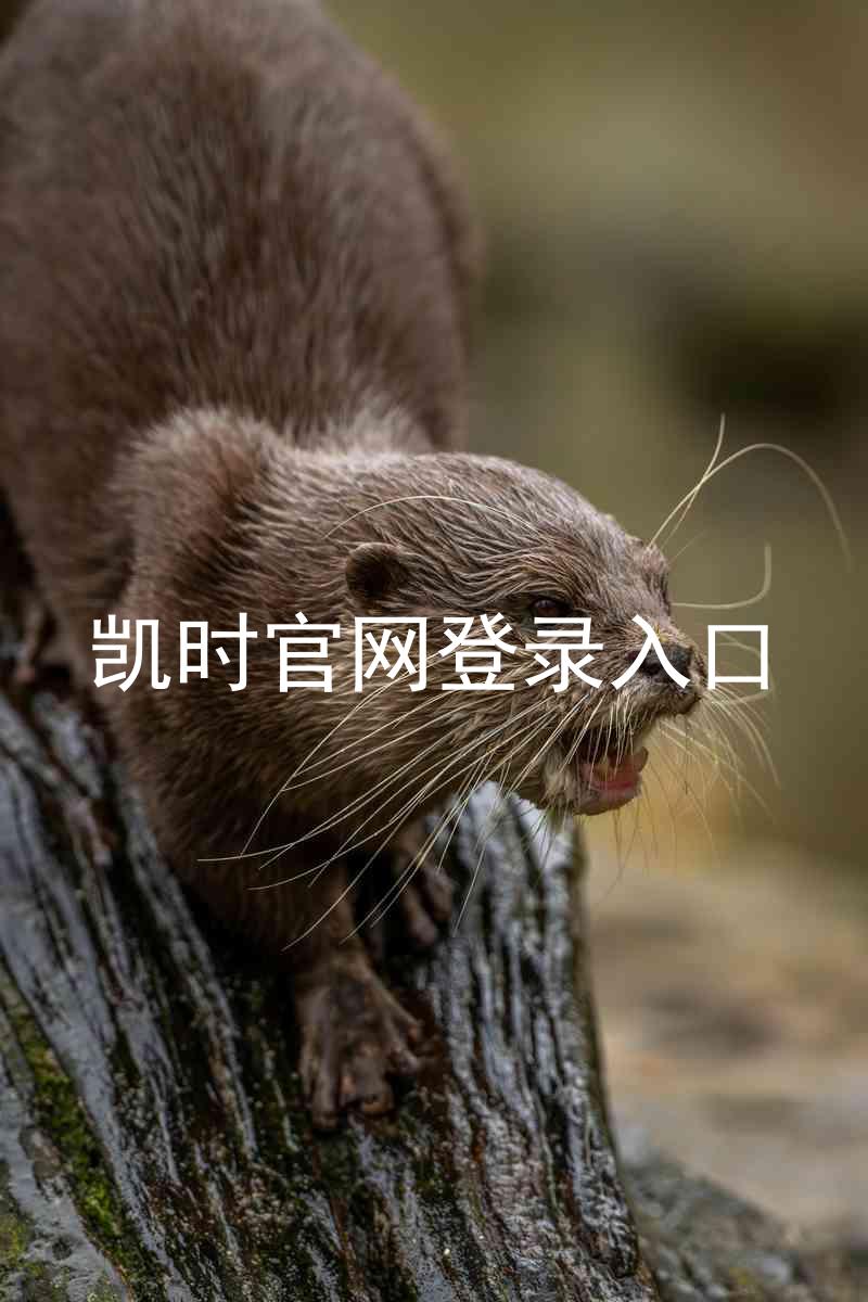 凯时官网登录入口